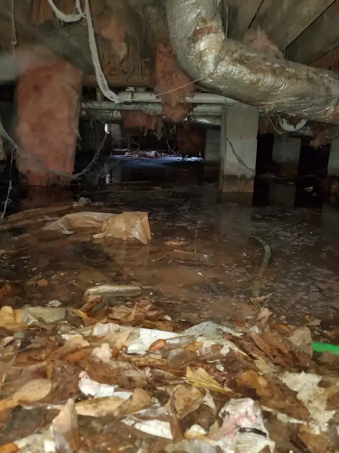 Crawl space flood assessment for Commercial Water Damage Restoration in Indianapolis