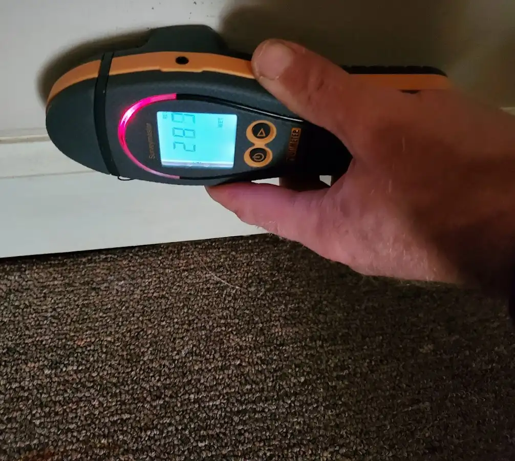 Moisture detection at baseboard during Sewage Cleanup & Sanitation in Indianapolis